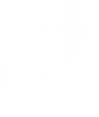 Venom Icon